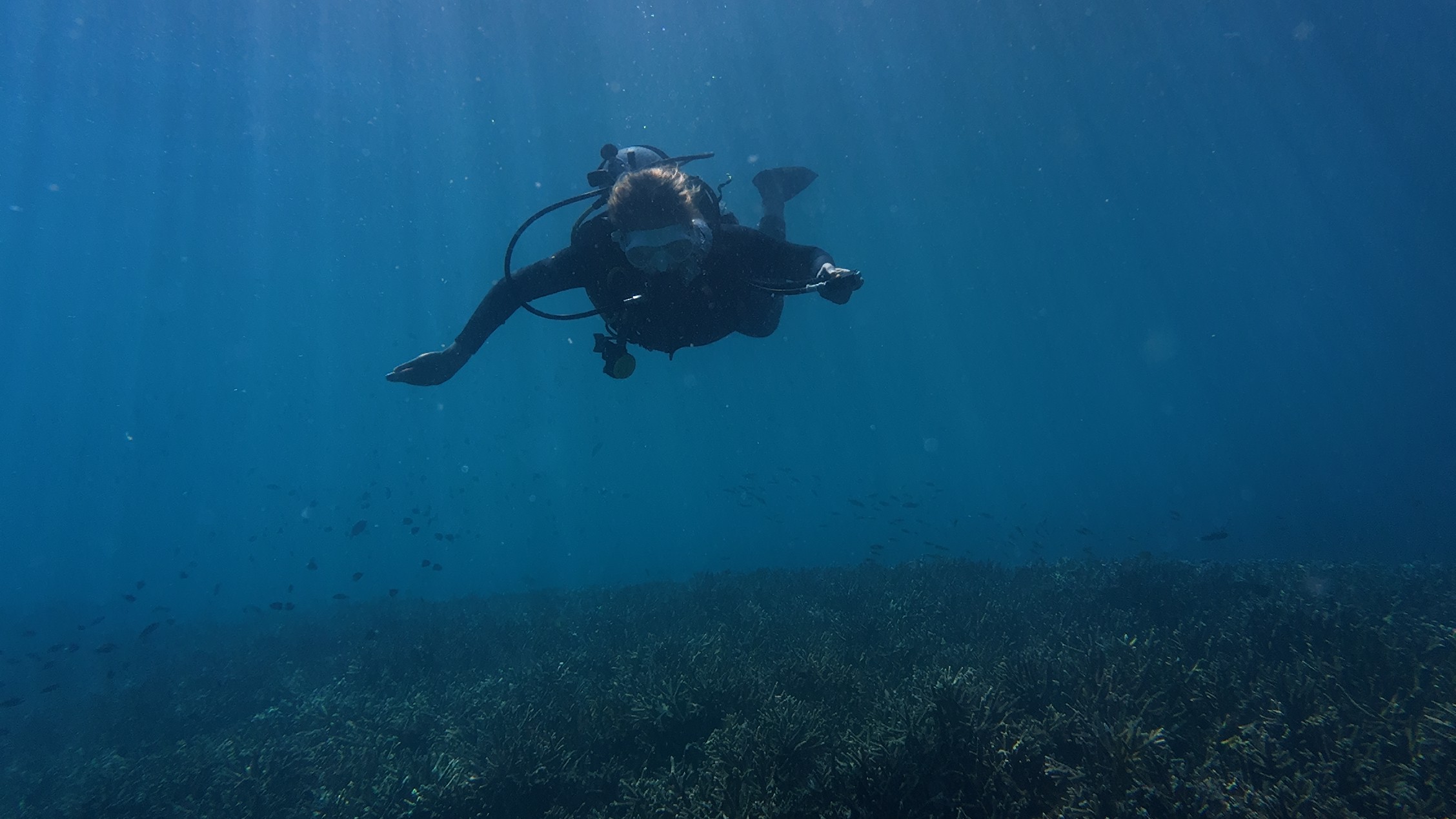 Snorkeling in Lombok
