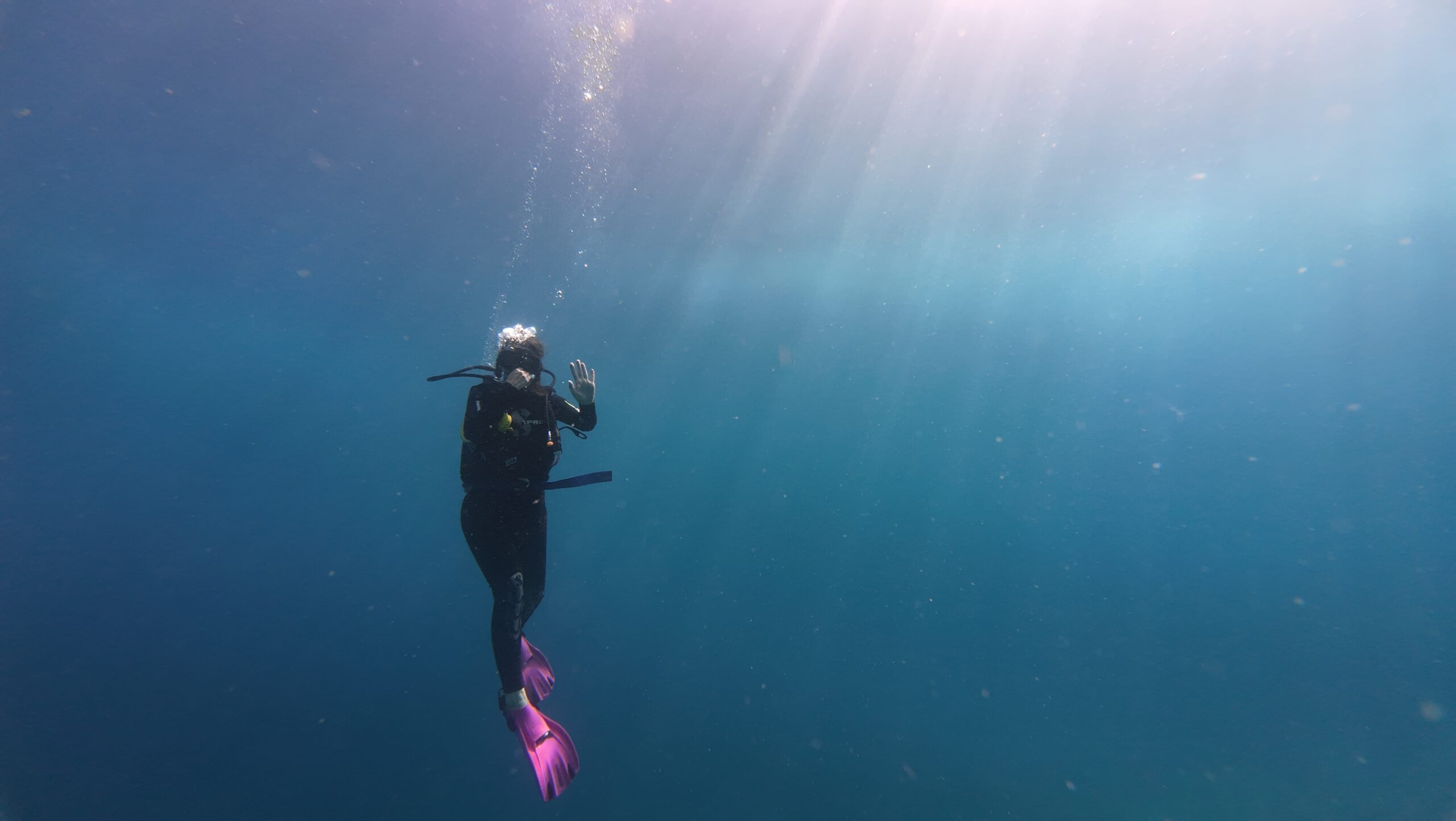 Dive Trips in Lombok