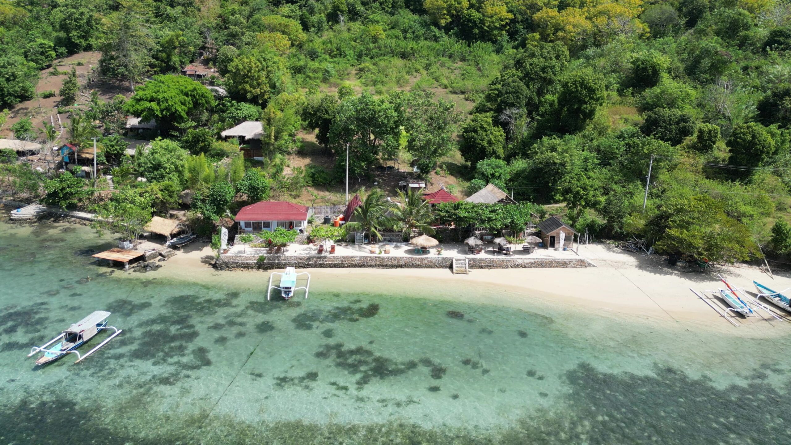 Signature Scuba diving experience